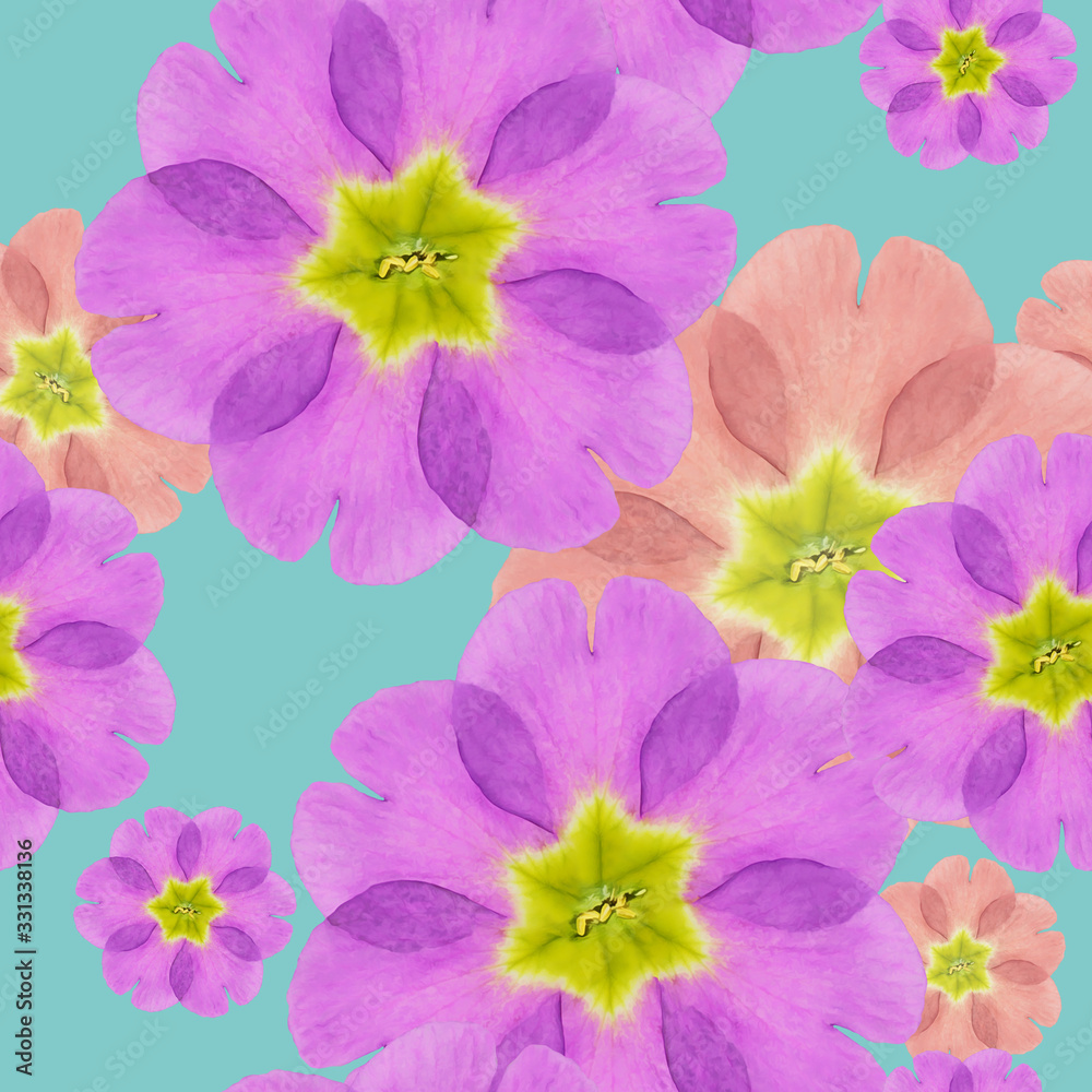 Primula, primrose. Illustration, texture of flowers. Seamless pattern for continuous replication. Floral background, photo collage for textile, cotton fabric. For use in wallpaper, covers