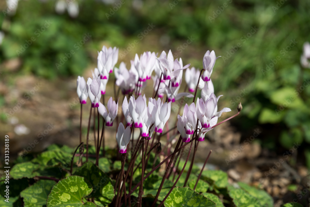 Bet She'arim National Park