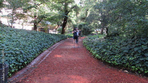 walk in the park