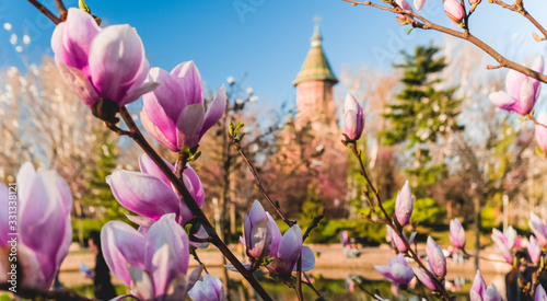 SprindTime in Timisoara