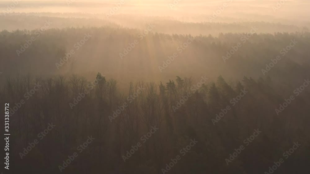 Mystical radiance in the forest, slow flight of the drone, rays of the sun make their way through the fog. Mystical radiance in the forest, slow flight of the drone, rays of the sun make their way through the fog.