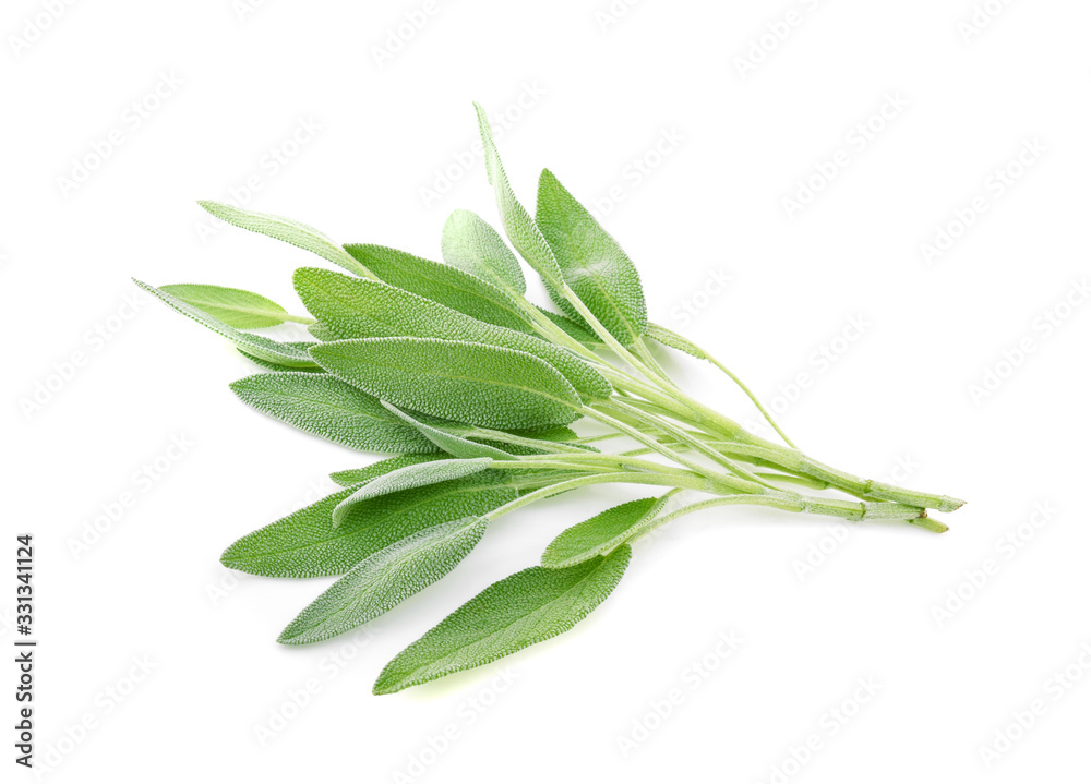 Sage leaves isolated on white background Sage leaves isolated on white background