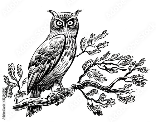 Wallpaper Mural Owl bird sitting on oak tree. Ink black and white drawing Torontodigital.ca
