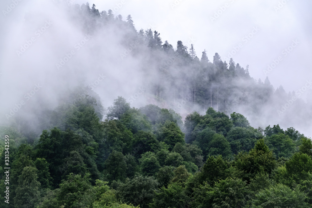 Plakat High mountain with green slopes hidden in clouds and fog.