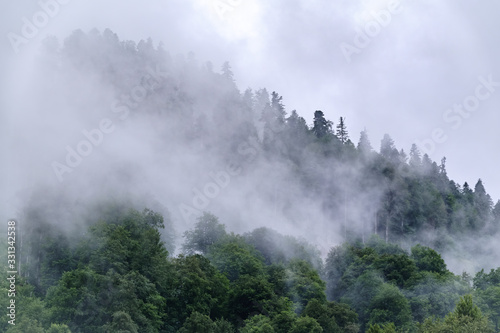 High mountain with green slopes hidden in clouds and fog. © Dmitrii Potashkin