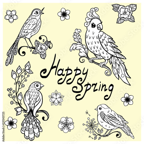 set of decorative hand-drawn birds for design