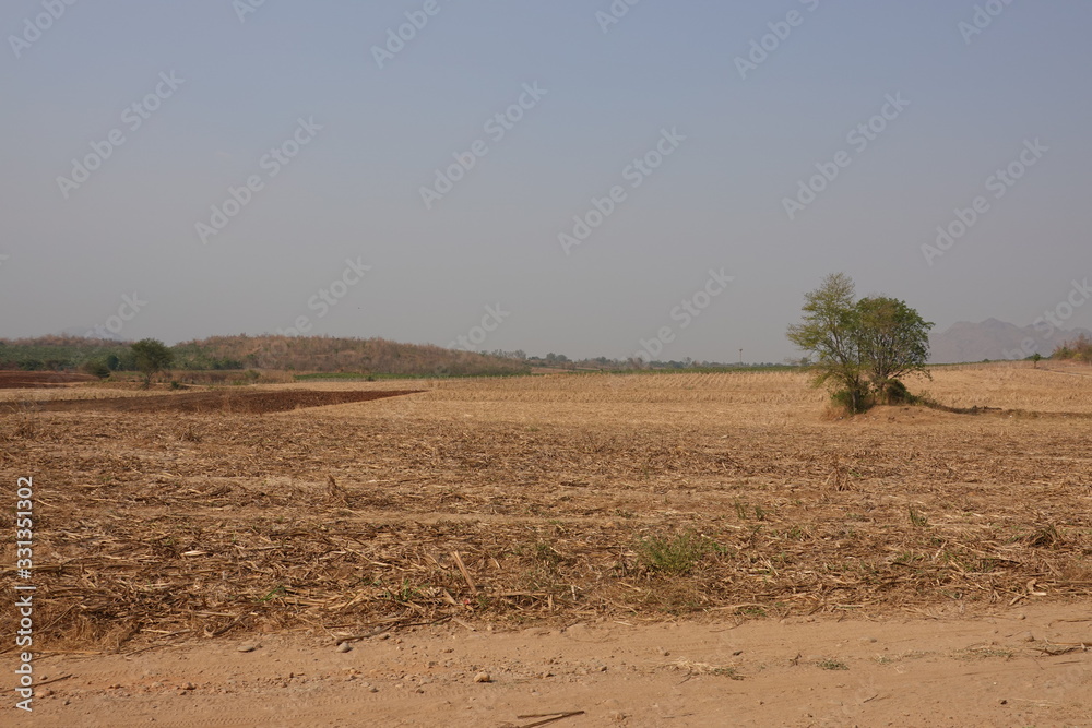 Landscape of the Field in Summer, Ready for the Coming Planting . Landscape of the Field in Summer, Ready for the Coming Planting .