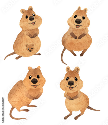 Set of cute kawaii hand drawn watercolor art. Collection of smiling australian quokka. Isolated on white background © LukaJreym