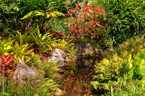 Florida Botannical Gardens photo