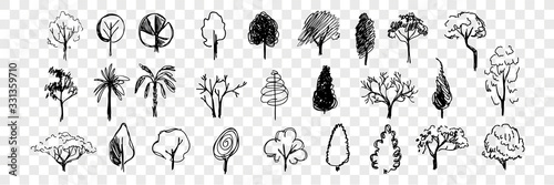 Hand drawn trees doodle set collection