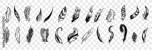 Hand drawn bird feathers doodle set collecton