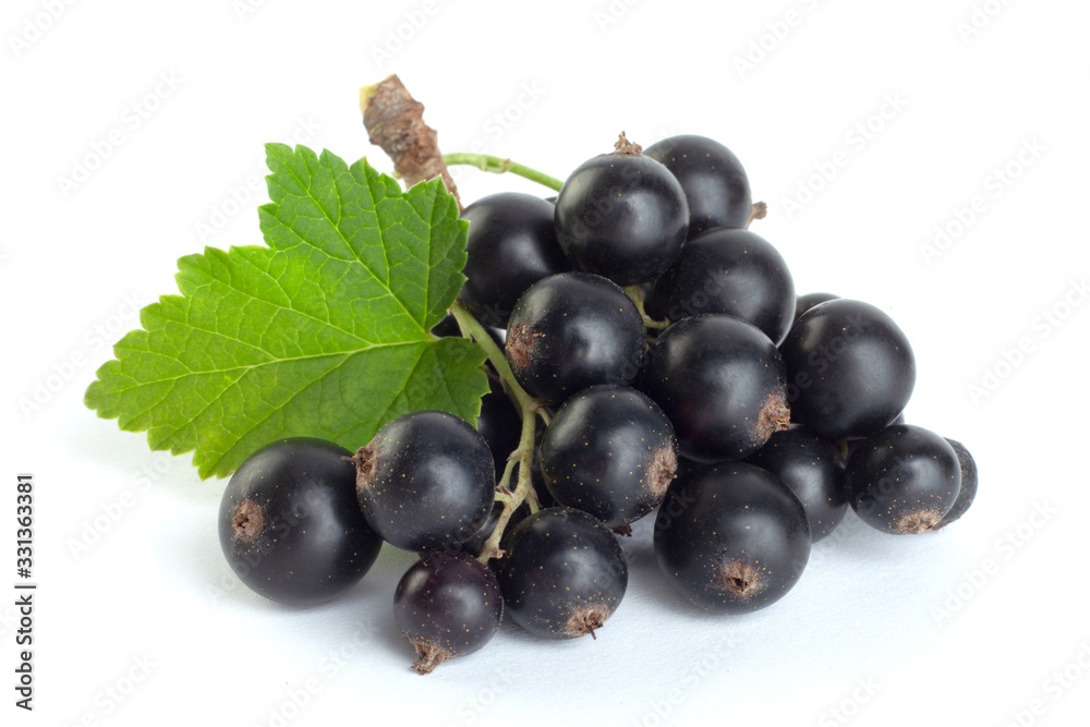 Black currant berries closeup Black currant berries closeup