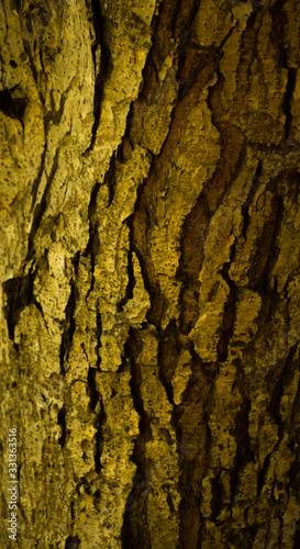 wooden texture