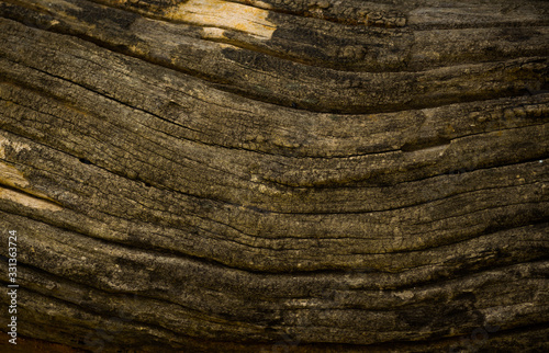 wood texture background