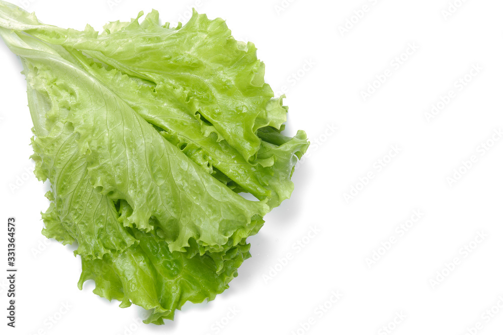 fresh green salad lettuce leaf isolated. white background fresh green salad lettuce leaf isolated. white background