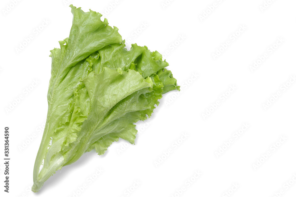 fresh green salad lettuce leaf isolated. white background fresh green salad lettuce leaf isolated. white background