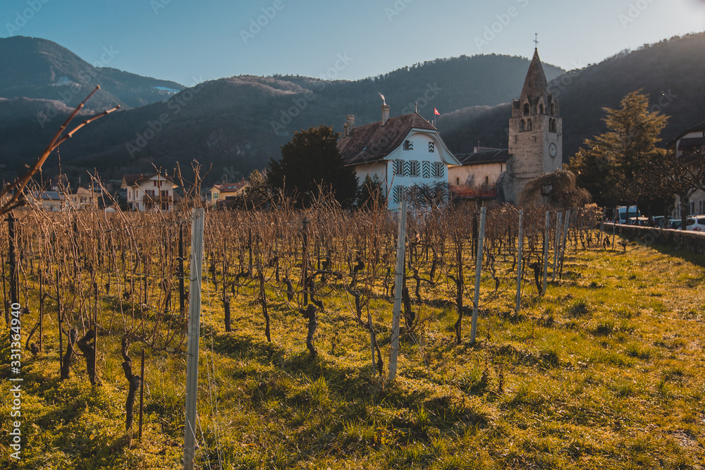 Beautiful panorama the church in city of Aigle in Switzerland with visible castle and vineyards. Beautiful mountain backdrop.