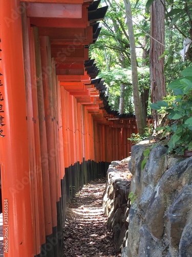 Japan Torri Gates