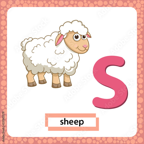 Letter S lowercase with cute cartoon Sheep or Lamb isolated on white background. Funny colorful flashcard Zoo and animals ABC alphabet. Education card for kids learning English vocabulary. VectorEPS10