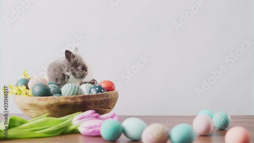 Cute Easter bunny on wooden table with colorful eggs and tulips . Easter holiday decorations, Easter concept background.