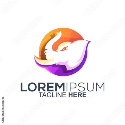 colorful elephant logo design vector