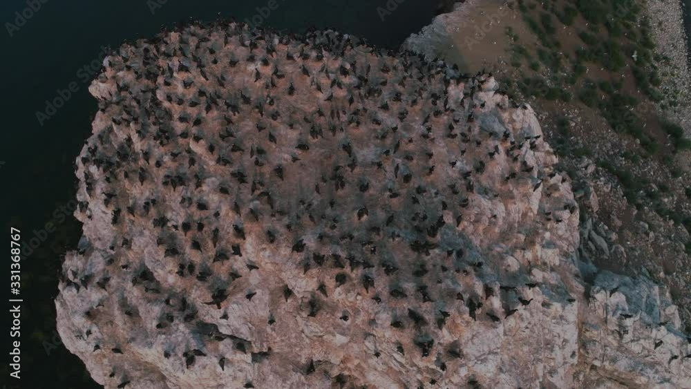 An island with cormorants on Lake Baikal. Shooting from the drone. Aerial photography. An island with cormorants on Lake Baikal. Shooting from the drone. Aerial photography.