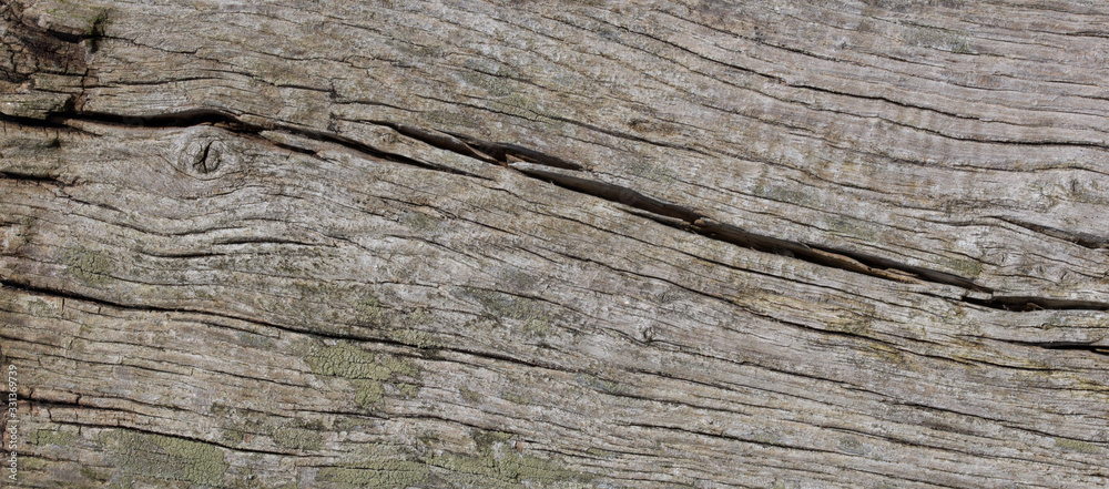 old wood plank texture background old wood plank texture background