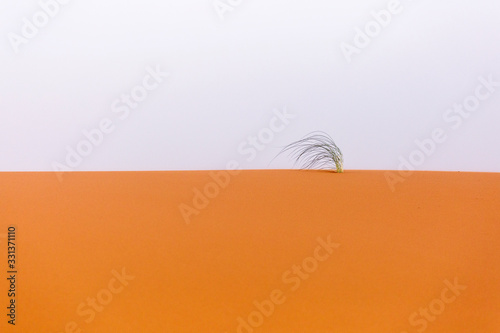 Fototapeta Naklejka Na Ścianę i Meble -  Desert Sahara with beautiful lines and colors at sunrise. Merzouga, Morocco