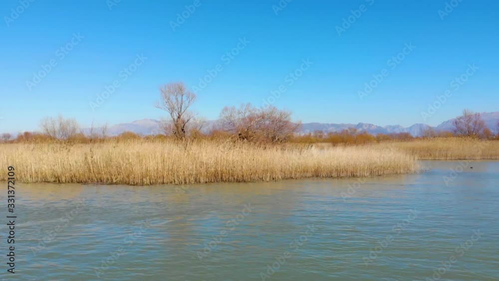 Sailing over tranquil lagoon washing shore of lake with dry brown reeds under bright blue sky in the Balkans Sailing over tranquil lagoon washing shore of lake with dry brown reeds under bright blue sky in the Balkans