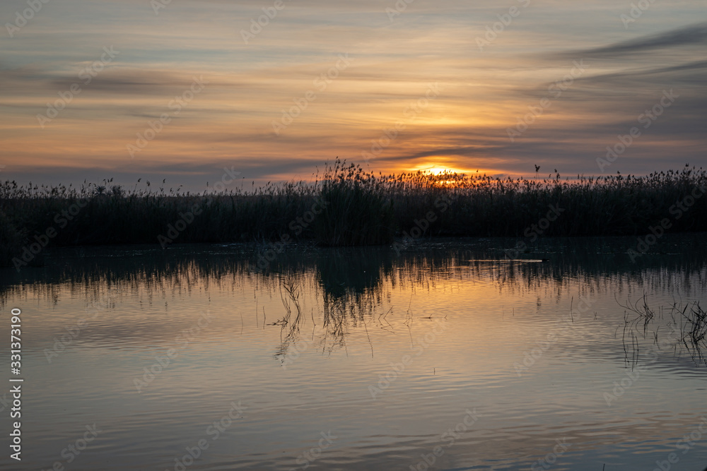 Spain. Sunrise in the El Hondo de Elche natural park. Alicante Spain. Sunrise in the El Hondo de Elche natural park. Alicante