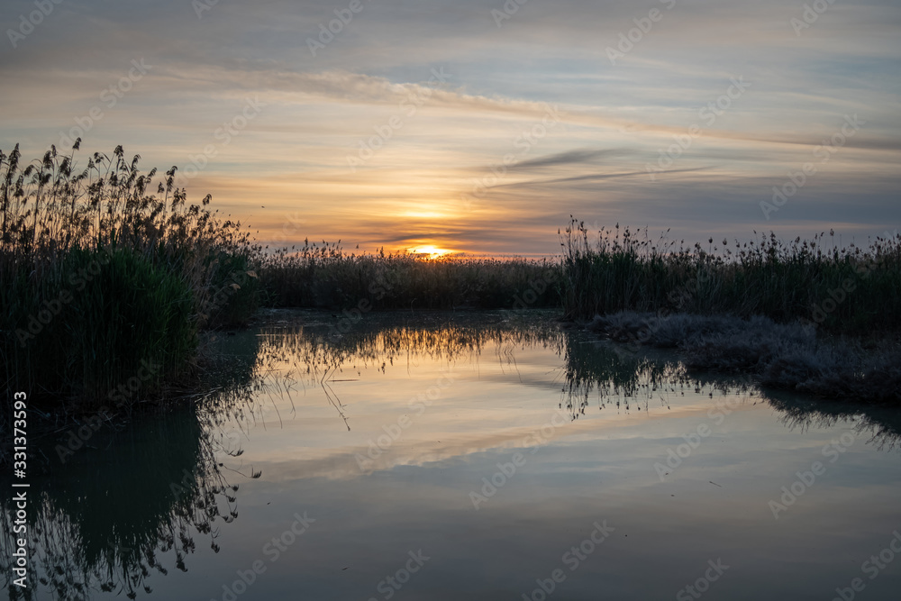 Spain. Sunrise in the El Hondo de Elche natural park. Alicante