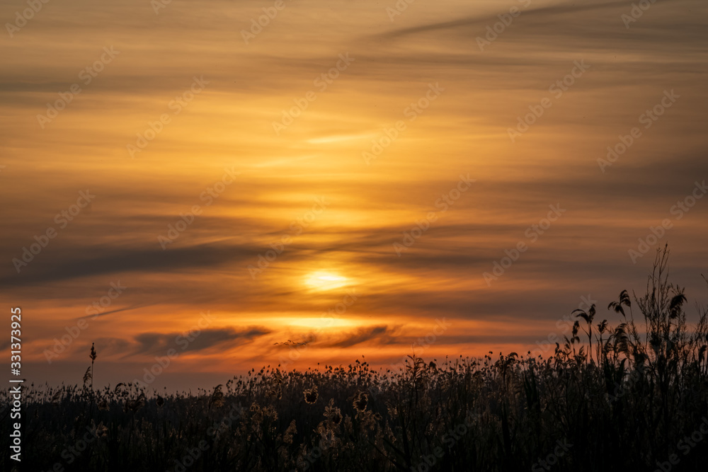 Spain. Sunrise in the El Hondo de Elche natural park. Alicante Spain. Sunrise in the El Hondo de Elche natural park. Alicante