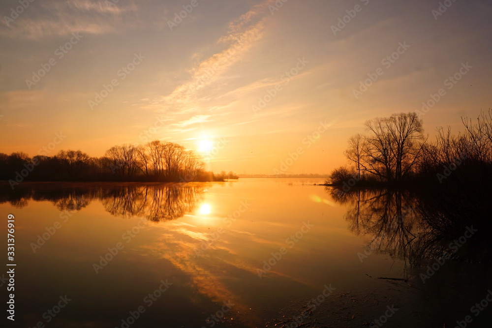 A wonderful Golden sunrise over the river with trees in spring.