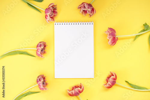 White notebook on the yellow background with beautiful pink flowers and green tulips leaves