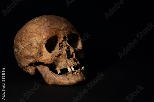 skull, schädel, black, schwarz, tot, human, 
