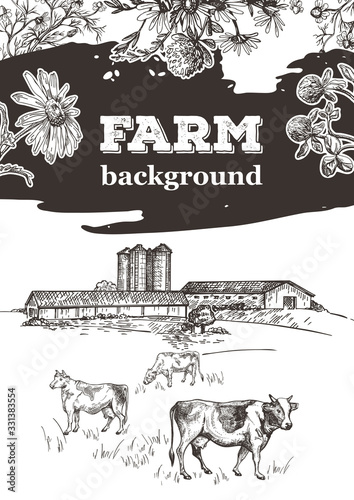 Cows graze near the farm. Barn and grain elevator. Sample cover for agricultural brochure.