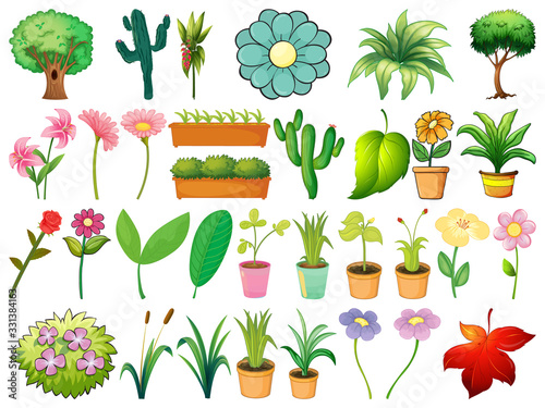 Large set of different plants on white background