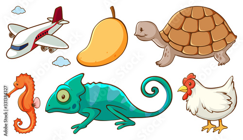Large set of different animals and other objects on white background
