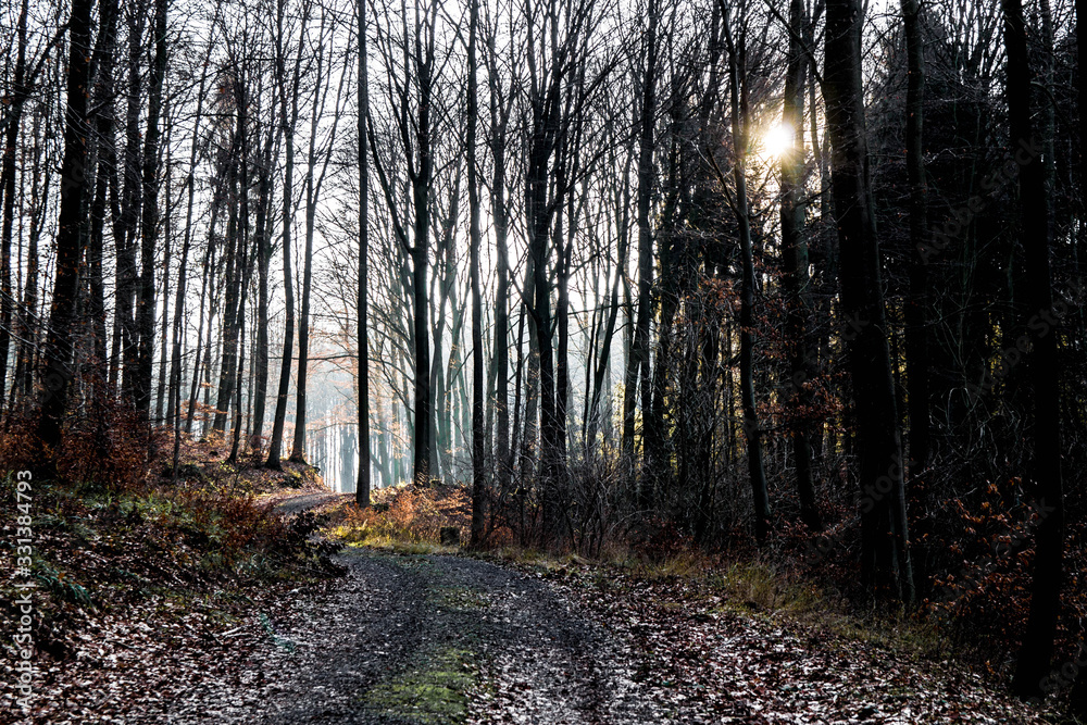 Fototapeta premium am ende ein licht
