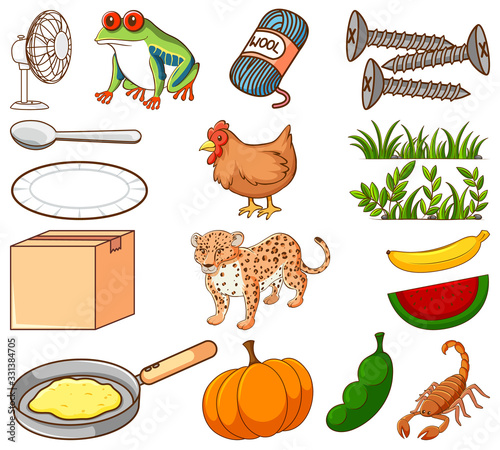 Large set of different food and other items on white background
