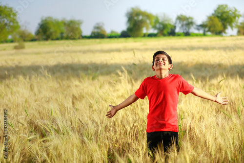 Indian / Asian little boy playing in wheat field