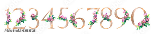 Gold numbers with flowers and leaves. Hand painted flowers of pink Magnolia. For wedding invitations, greeting card, poster and other floral design. Isolated