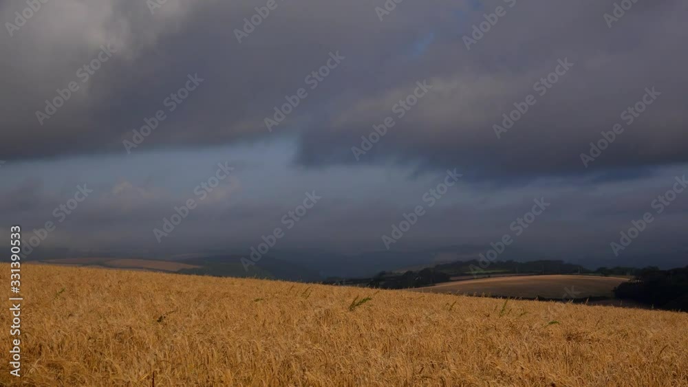 Time lapse of farm fields with crops on farm UK 4K Time lapse of farm fields with crops on farm UK 4K