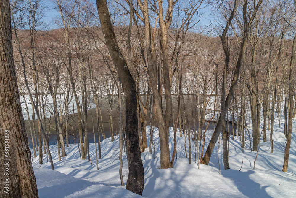 Towada Hachimantai National Park in winter