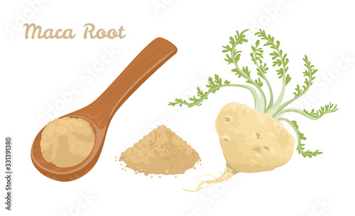 Maca root Powder in wooden spoon isolated on white background. Vector illustration of dietary supplement in cartoon flat style. photo