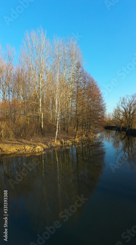 Spring landscape trees without leaves and their reflection in the river. Leafless Trees and River