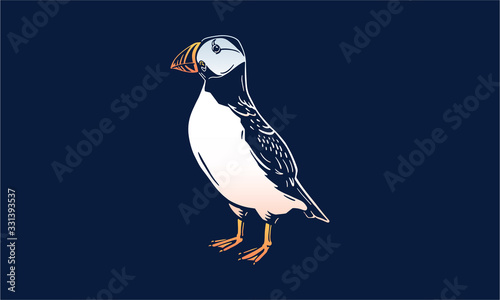 puffin isolated