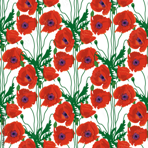 Seamless pattern with hand drawn red poppy flowers on white background. Vector illustration.