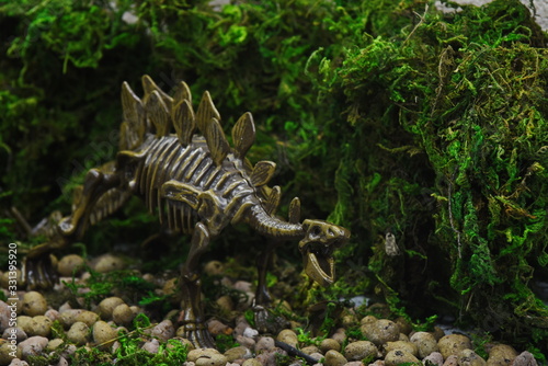 the skeleton of a stegosaurus stands in the moss