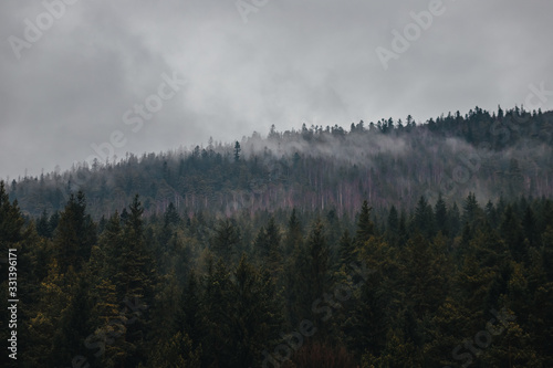 Dormant Carpathian Forest, Carpathian Falls